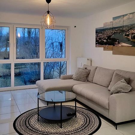 Schoene Und Ruhige Wohnung Direkt An Der Mosel Koblenz  Dış mekan fotoğraf
