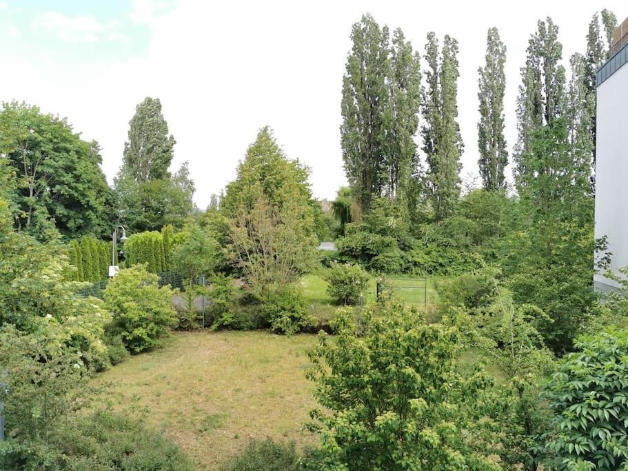 Schoene Und Ruhige Wohnung Direkt An Der Mosel Koblenz  Dış mekan fotoğraf